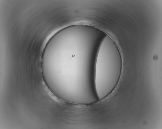 X0000114010816200910020951