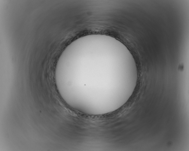 X0000114010817200910020950