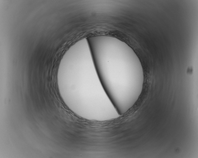 X0000114010818200910020950