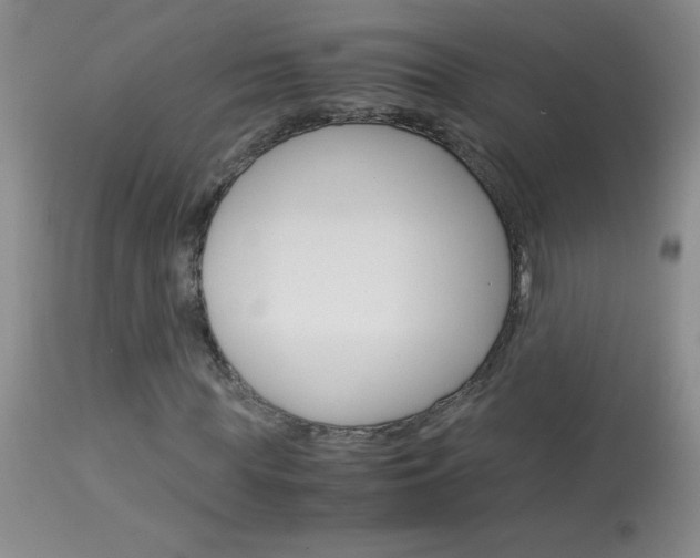 X0000114010819200910020950