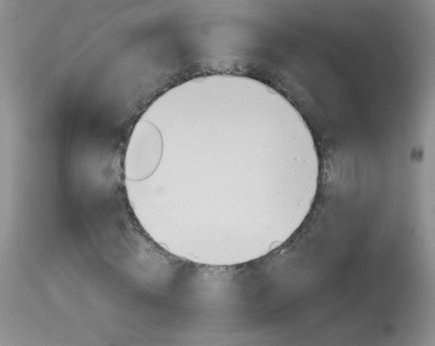 X0000114010820200910020950