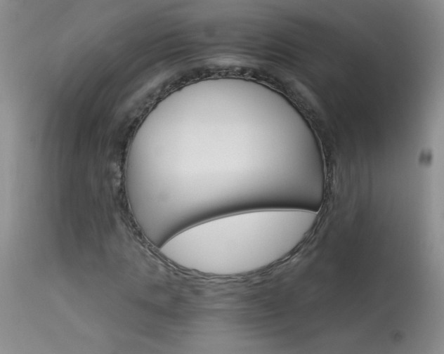 X0000114010821200910020950