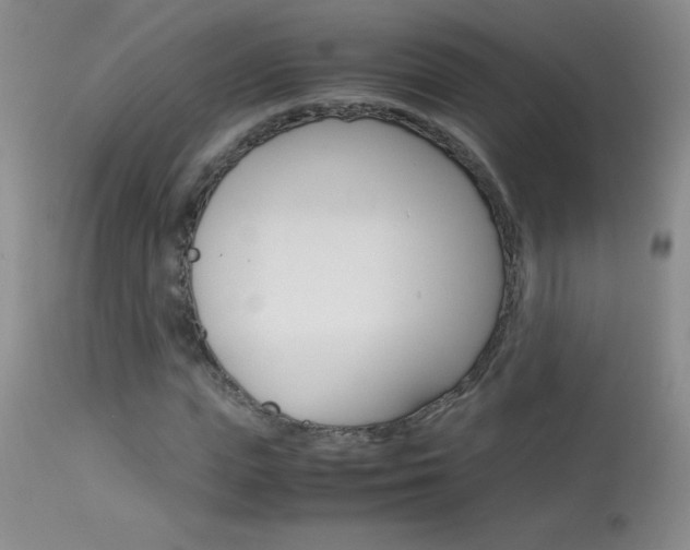 X0000114010823200910020950