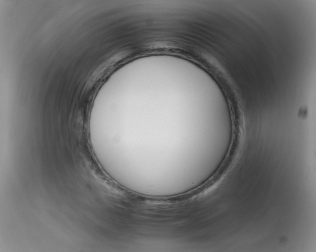 X0000114010825200910020950