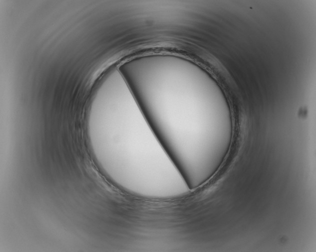 X0000114010826200910020950