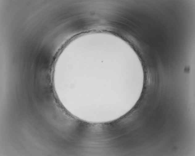 X0000114010828200910020950