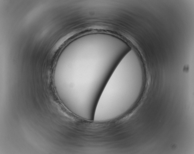 X0000114010829200910020950