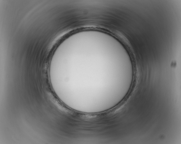 X0000114010831200910020950