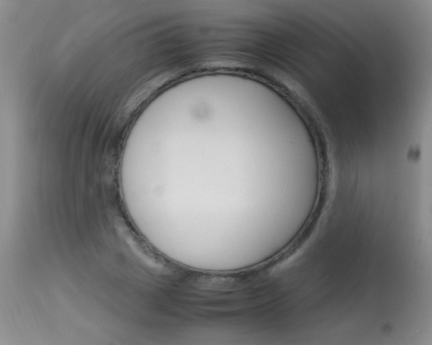 X0000114010833200910020950