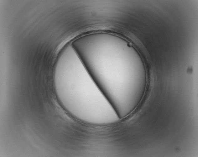 X0000114010834200910020950