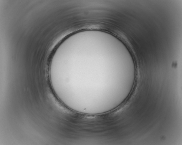 X0000114010835200910020950
