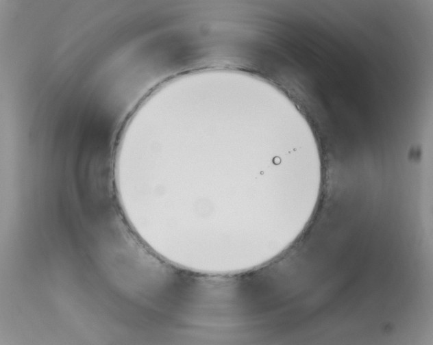 X0000114010836200910020950