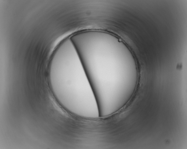 X0000114010838200910020950