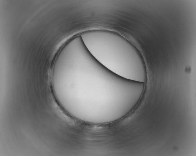 X0000114010839200910020950