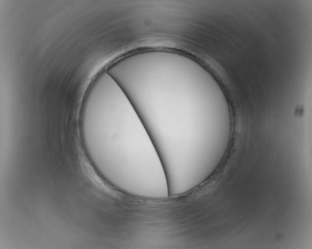 X0000114010840200910020950