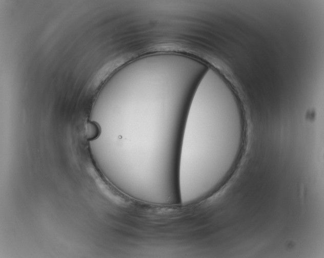X0000114010841200910020950