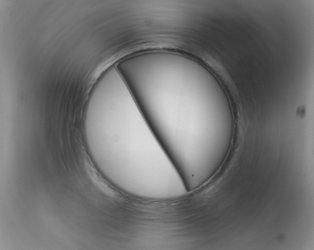 X0000114010842200910020950