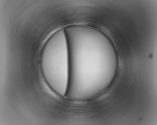 X0000114010843200910020950
