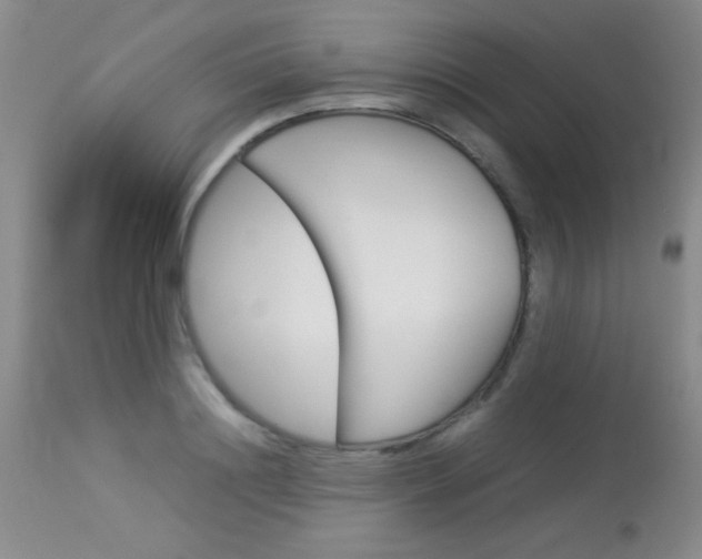X0000114010844200910020950