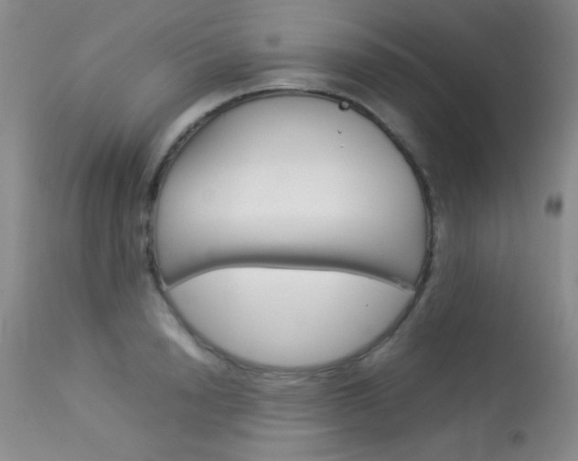X0000114010846200910020950