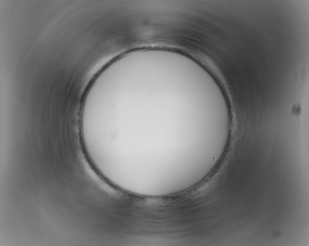 X0000114010847200910020950