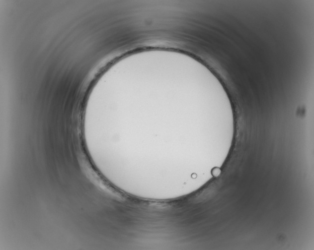 X0000114010848200910020951
