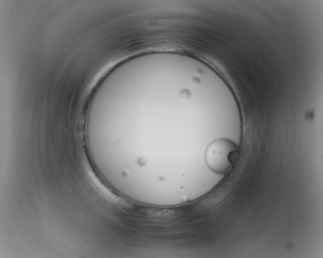 X0000114010851200910020951