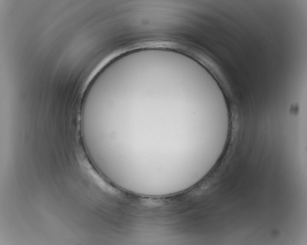 X0000114010852200910020951