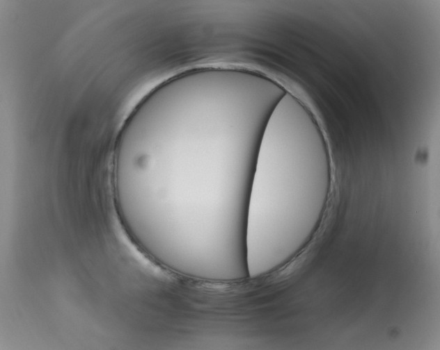 X0000114010855200910020951