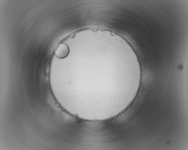 X0000114010856200910020951