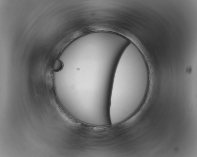 X0000114010857200910020951