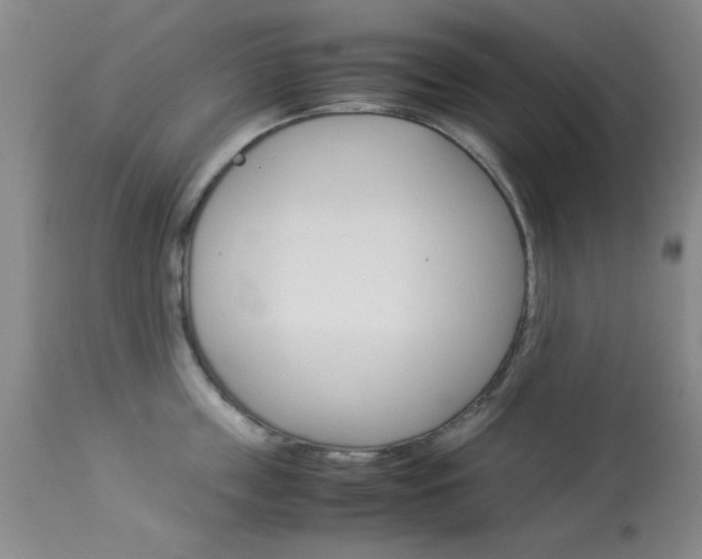 X0000114010859200910020951