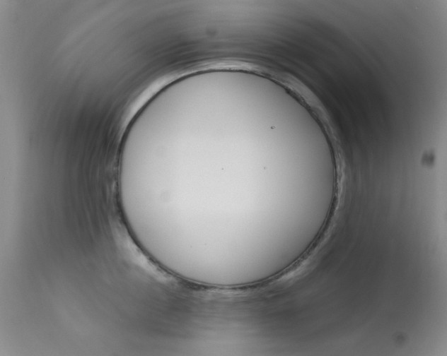 X0000114010860200910020951