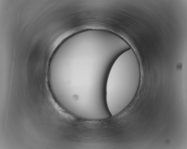 X0000114010861200910020951