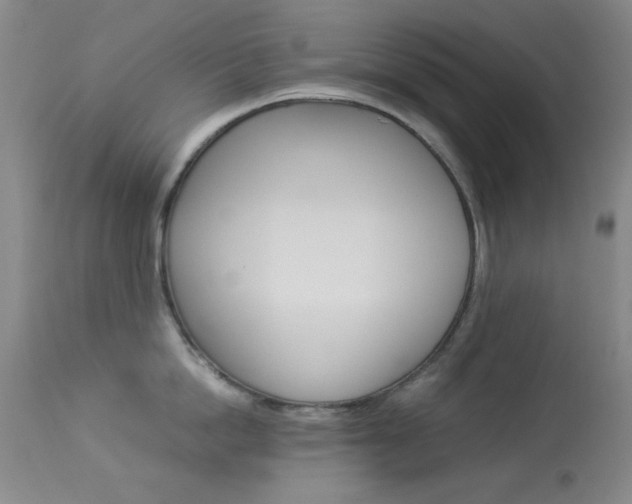 X0000114010862200910020951