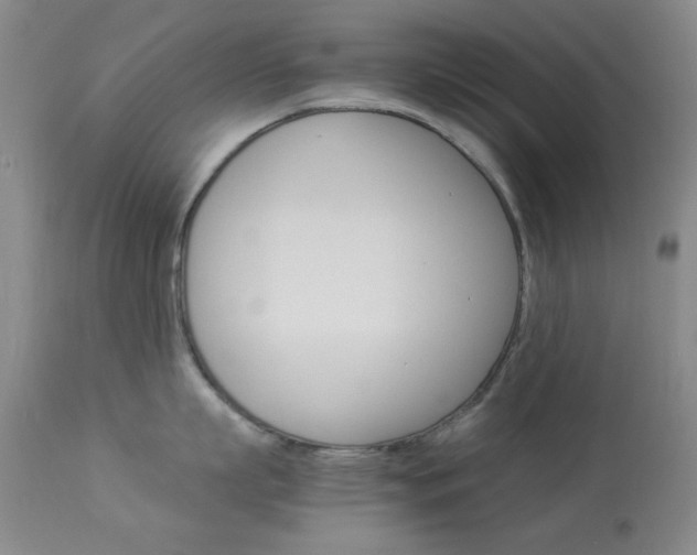 X0000114010863200910020951