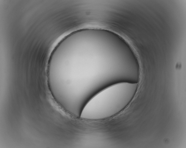 X0000114010864200910020951