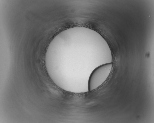 X0000114010865200910020950