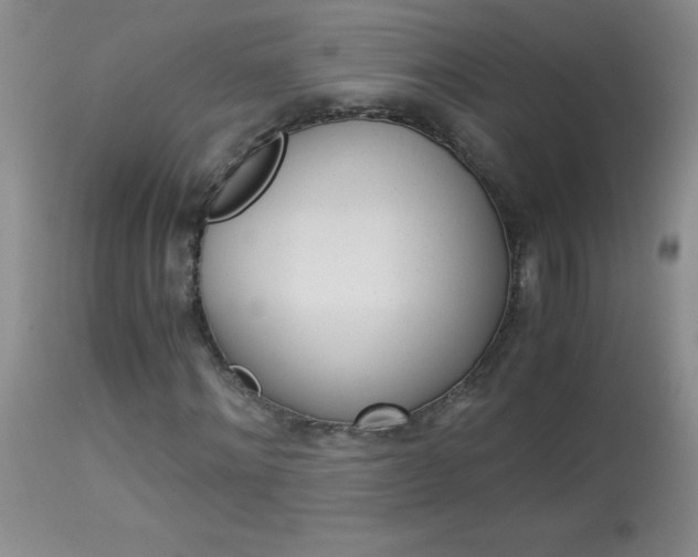 X0000114010868200910020950