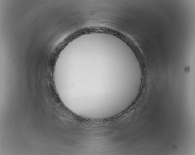 X0000114010871200910020950