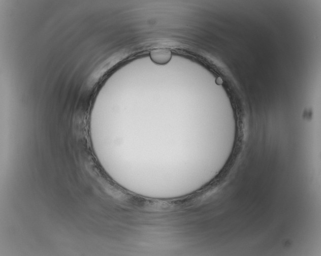 X0000114010873200910020950