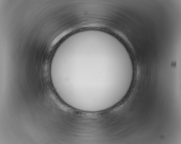 X0000114010874200910020950