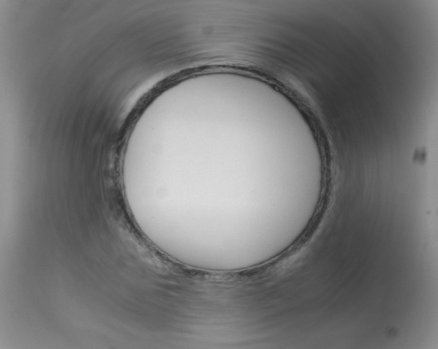 X0000114010875200910020950