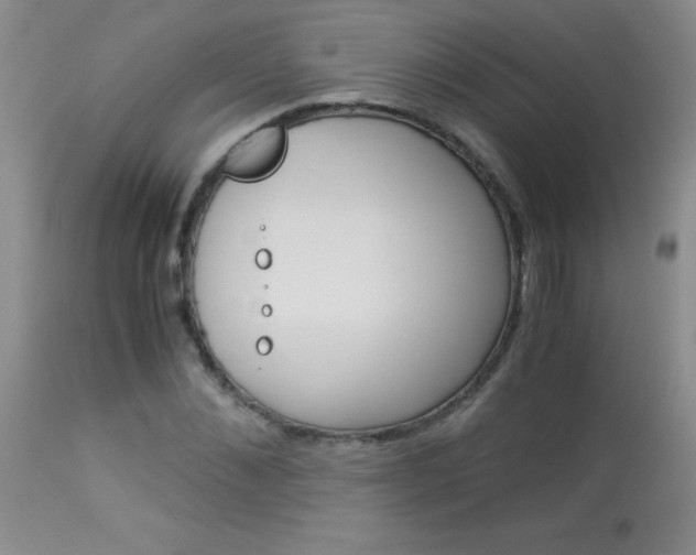 X0000114010876200910020950