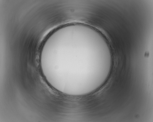 X0000114010878200910020950