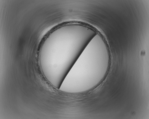 X0000114010879200910020950