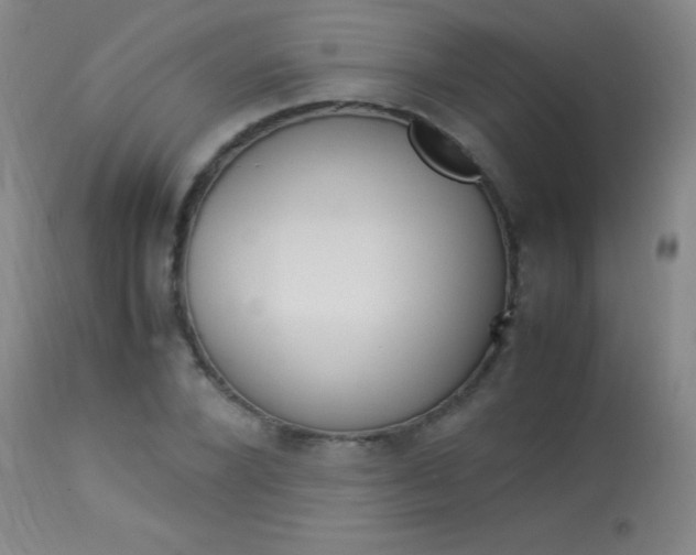 X0000114010880200910020950