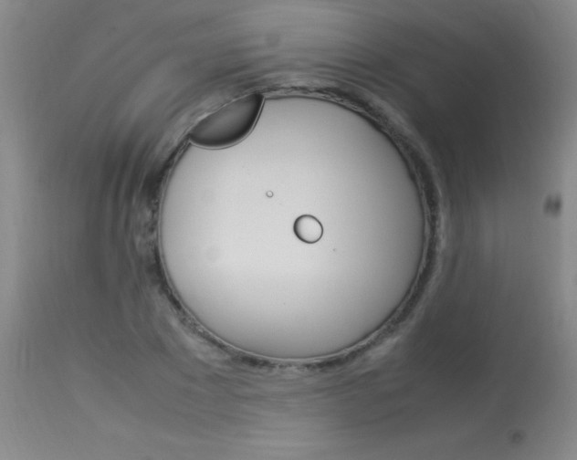 X0000114010881200910020950