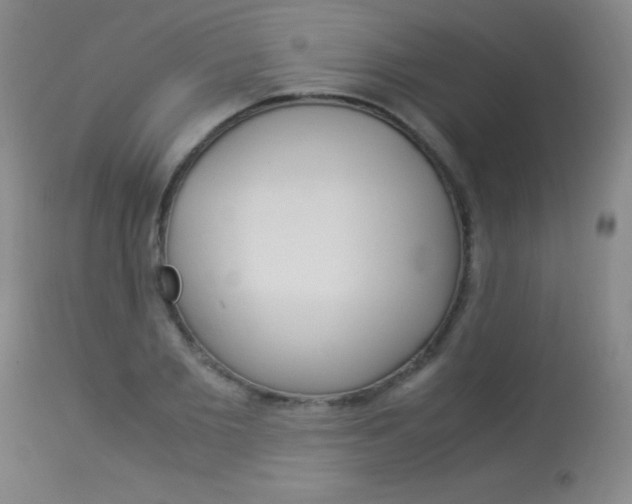 X0000114010885200910020950
