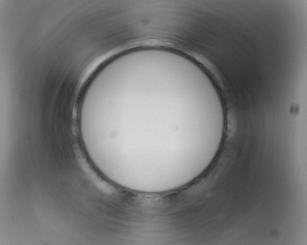 X0000114010886200910020950